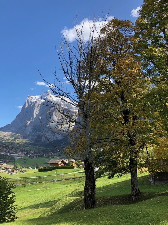 Chalet Studen Grindelwald Exterior foto
